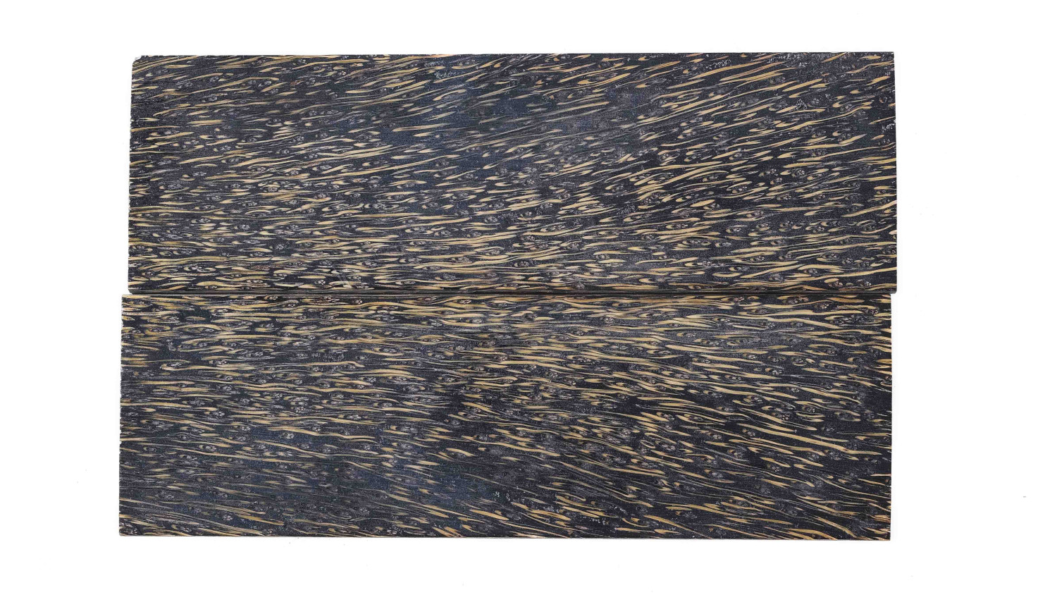 25090134