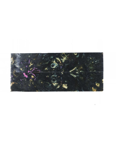 25090142