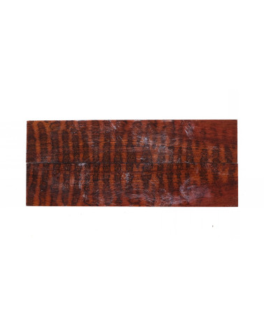 25090076