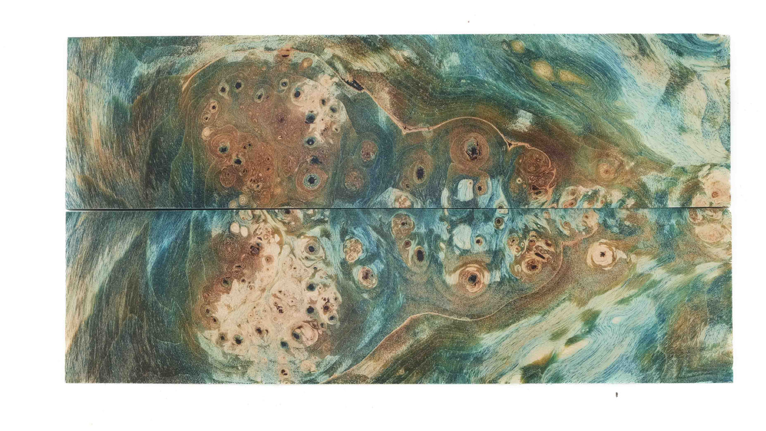 25090083