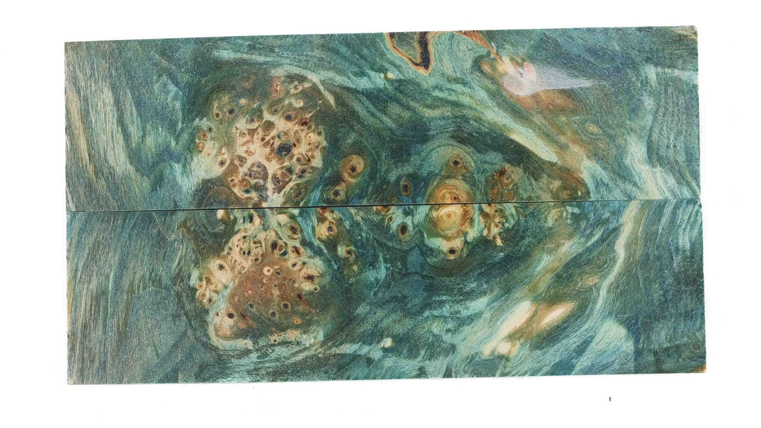 25090084