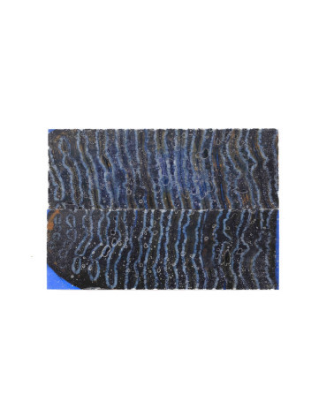 25100013