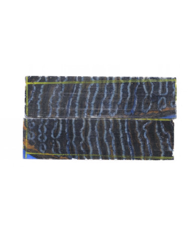 25100020
