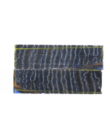 25100020