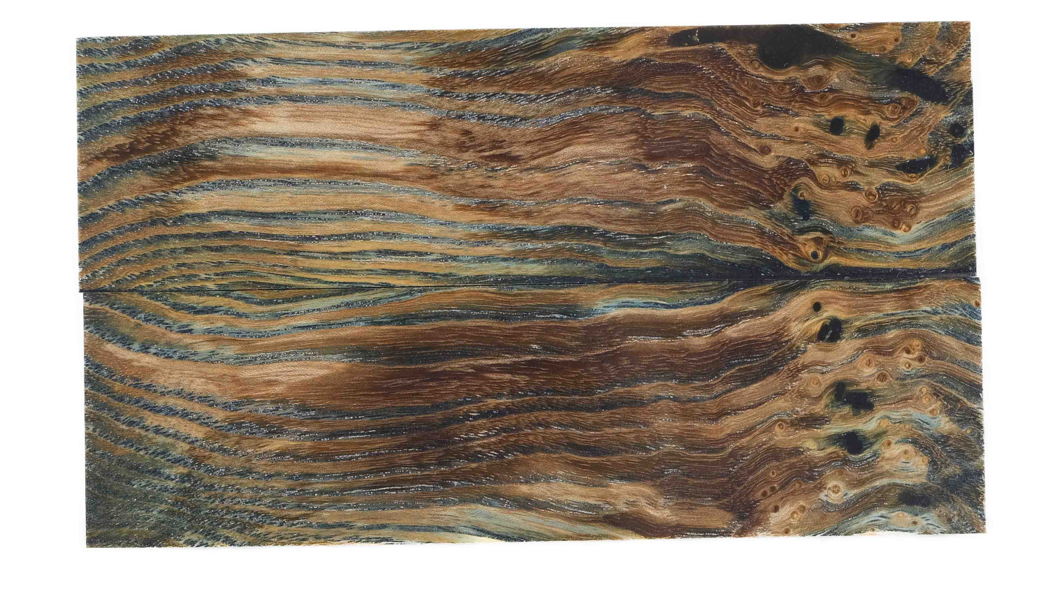 25100069