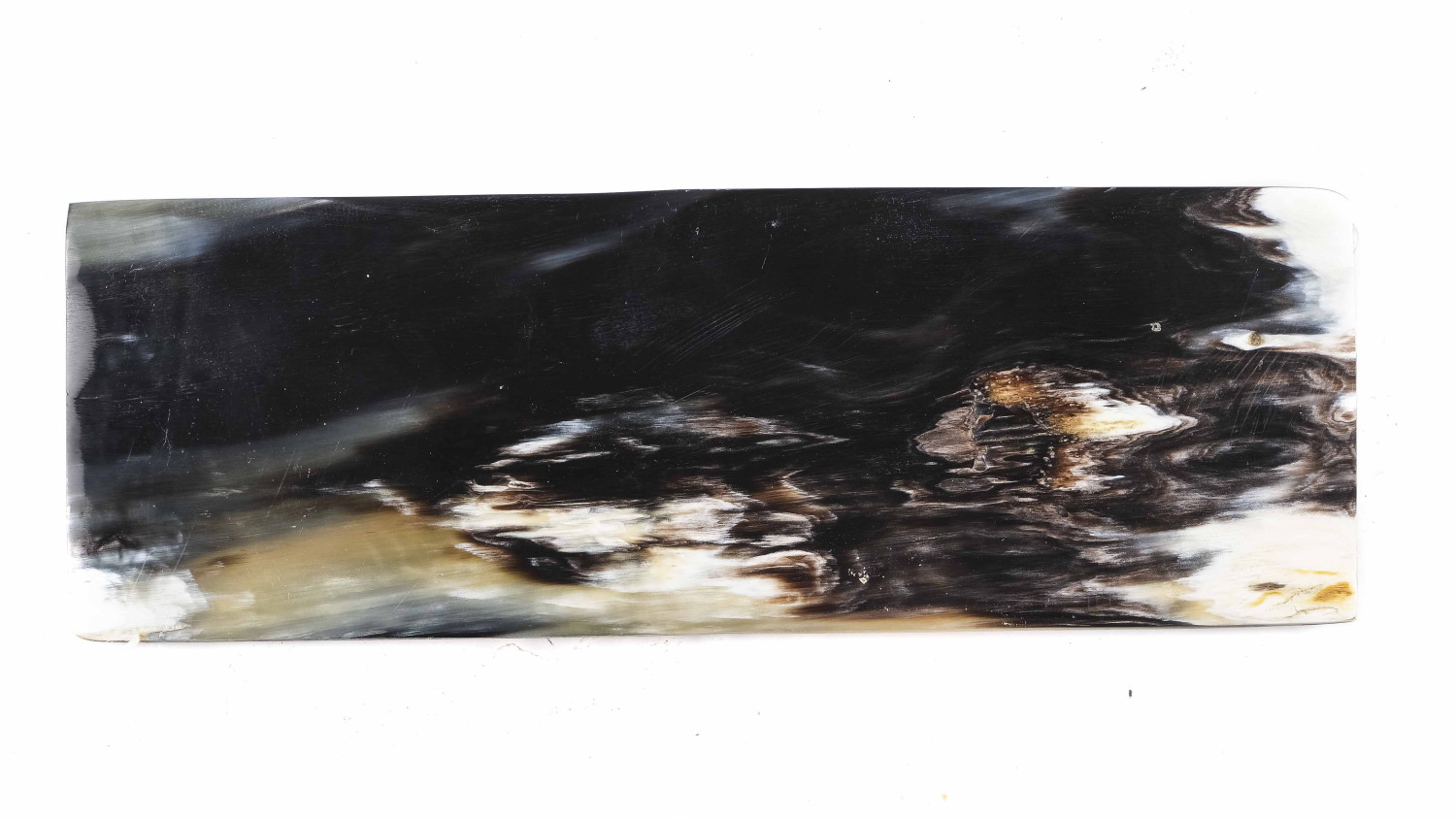 25090056