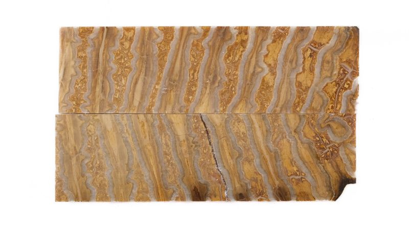 Handle mammoth Molar stabilised