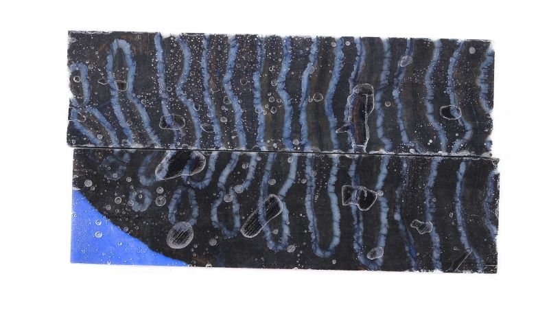 Manico molare Di Mammut stabilizzato blu