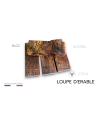 Blocs de Loupe d’Érable Stabilisé d’Europe (Acer pseudoplatanus) – Bois décoratif rare