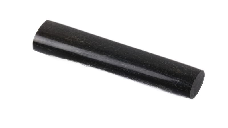 Côte de mammouth fossile stabilisée