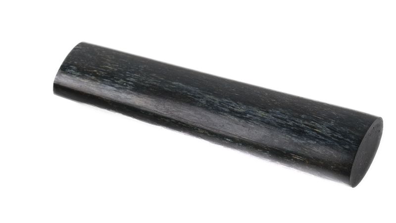 Costa fossile stabilizzata mammut 