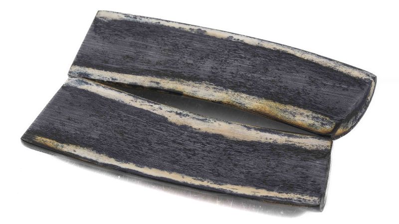 Handle of stag stabilised fossil