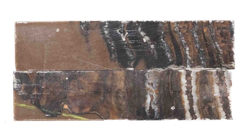 Handle of mammoth Molar brown