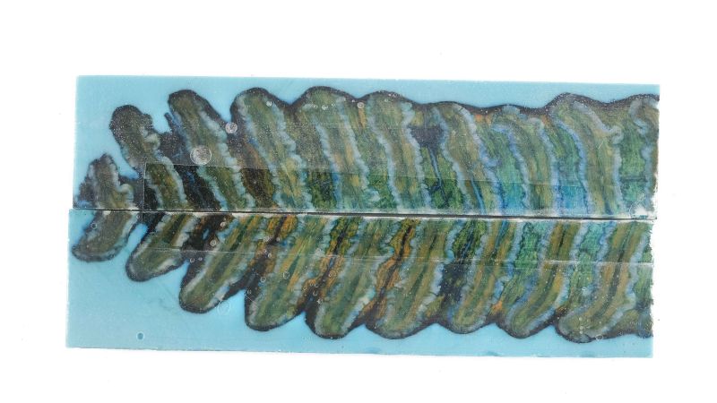 25120111
