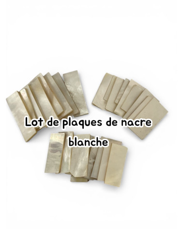 Targhe in madreperla bianca (set da 10)