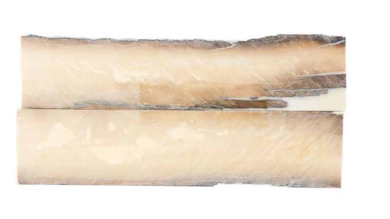 26020179
