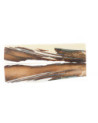 26020184