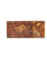 26020080