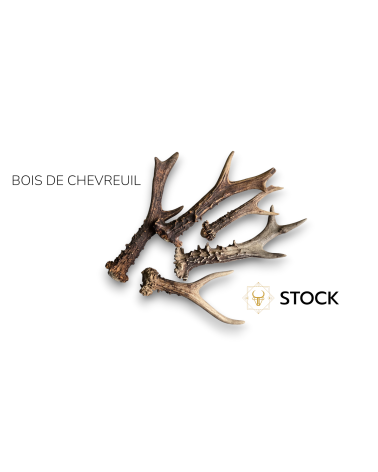 Wood from roe Deer for cutlery - Natural material - Mercorne