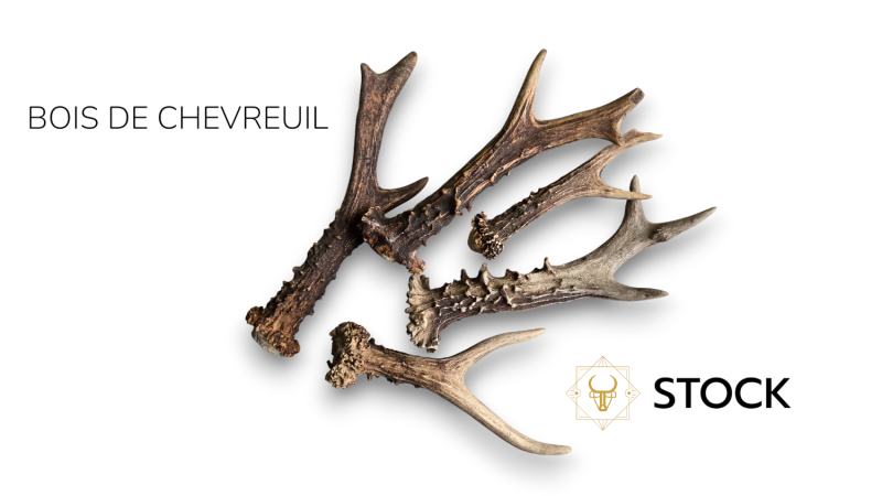 Wood from roe Deer for cutlery - Natural material - Mercorne