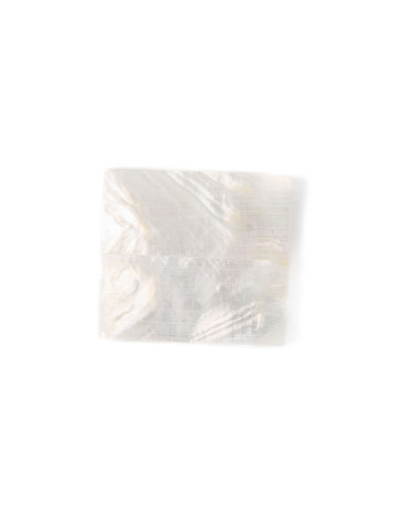 26020252