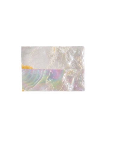 26020281 2