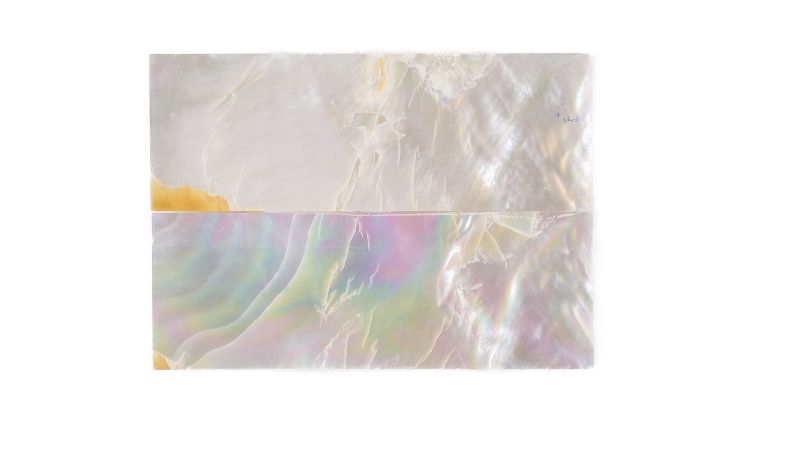 26020281