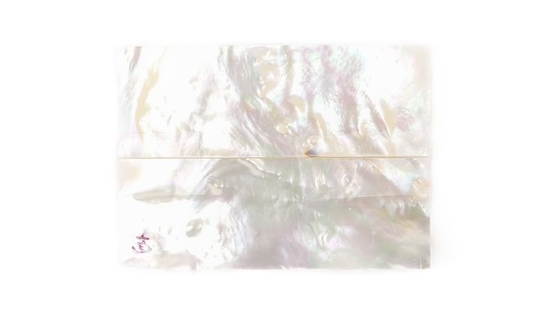 26020291