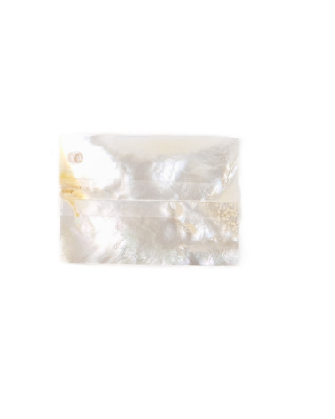 26020294 2