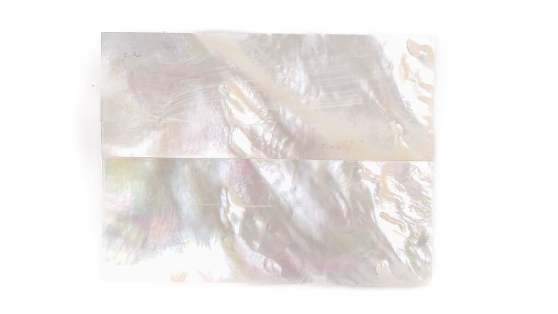 26020296