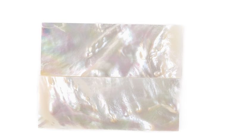 26020303