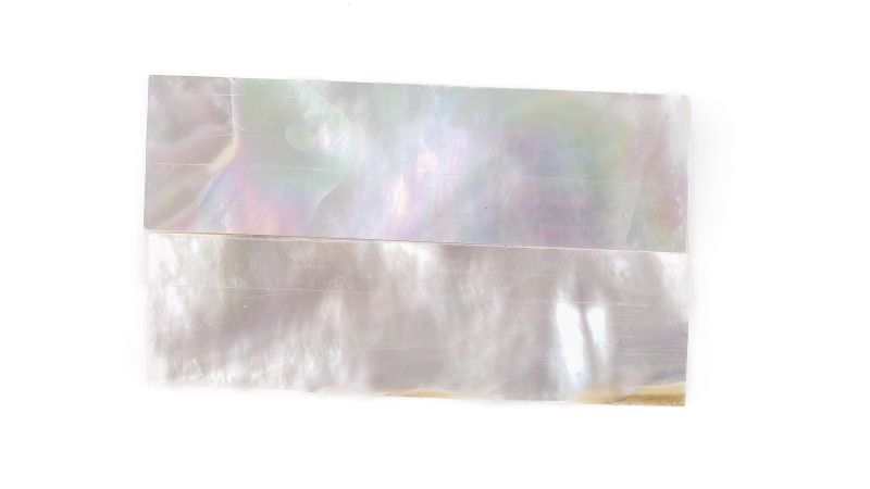 26020307