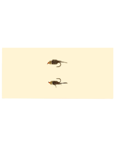 Echter Fischpilz - Französische Inklusion 2