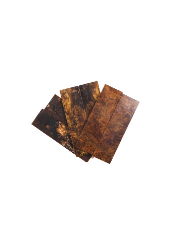 Manche loupe de bouleau stabilisé BY RAFFIR