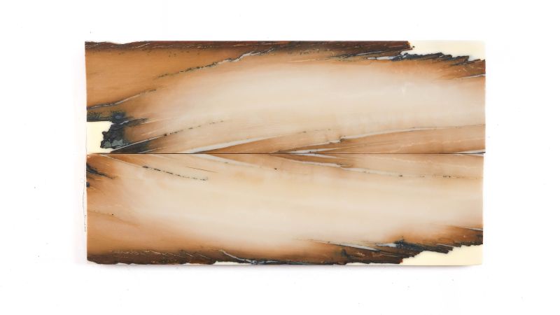 26020194
