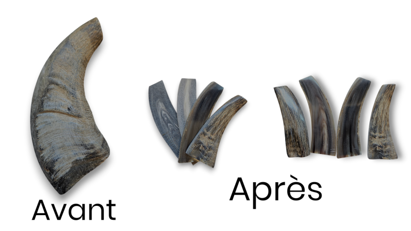 Kg of blond horn tips Buffalo