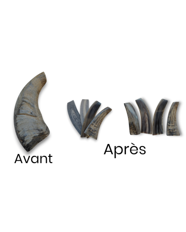 Kg de Pointes blondes de corne de Buffle