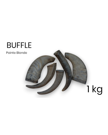 Concho Corno Bufalo Linea 24 4 Estensioni Per Gilet In Corno Di Bufalo Autentico Fatte A Mano - Con Concho, Linea 24, Scatto Rapido, Stile Western Estensioni Gilet Corno