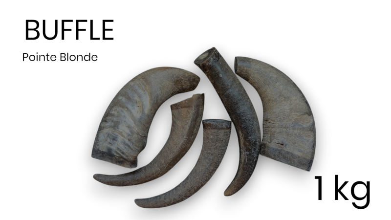 Kg di punte di corno biondo Buffalo