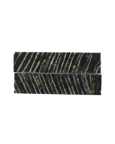 26030196