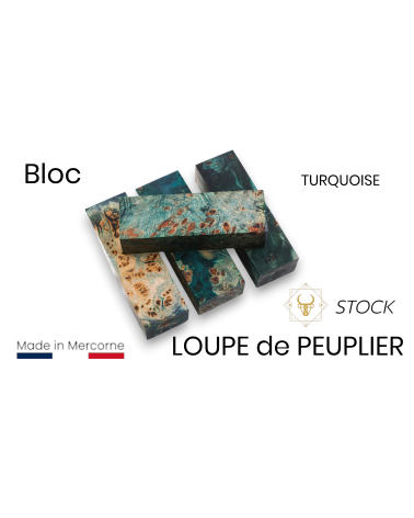 Stabilized poplar burl block - Mercorne - Multiple colors