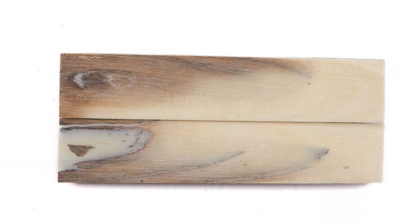 Mammoth ivory handle stabilized | Coutellerie d'art | Mercorne