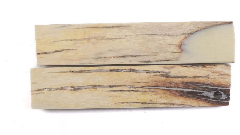 Mango de marfil de mamut estabilizado | Material fósil poco común | Mercorne