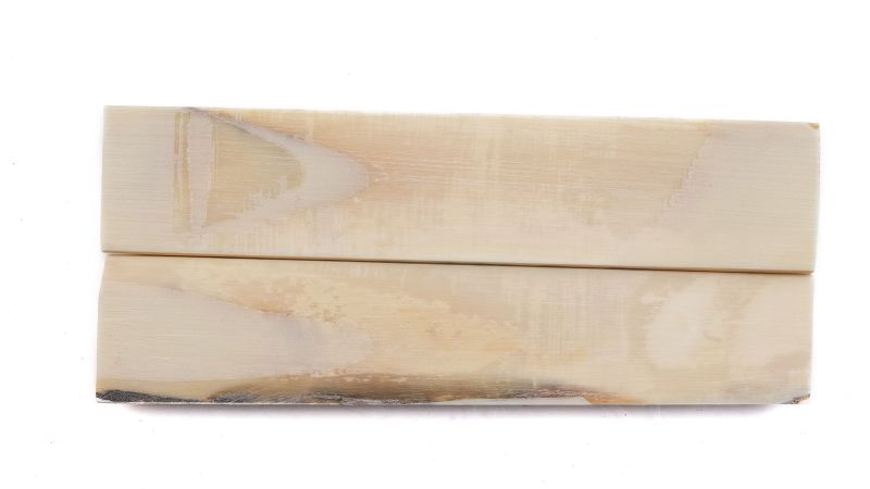 Stabilized mammoth ivory handle | Rare fossil material | Mercorne