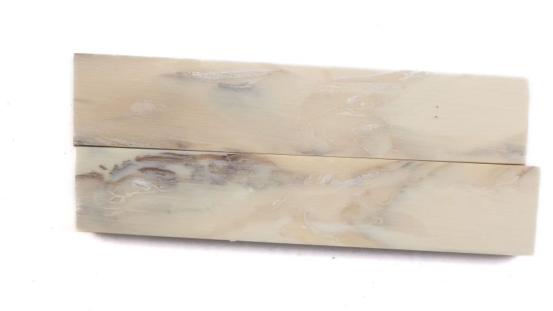 Manche ivoire de mammouth stabilisé | Matériau fossile rare | Mercorne