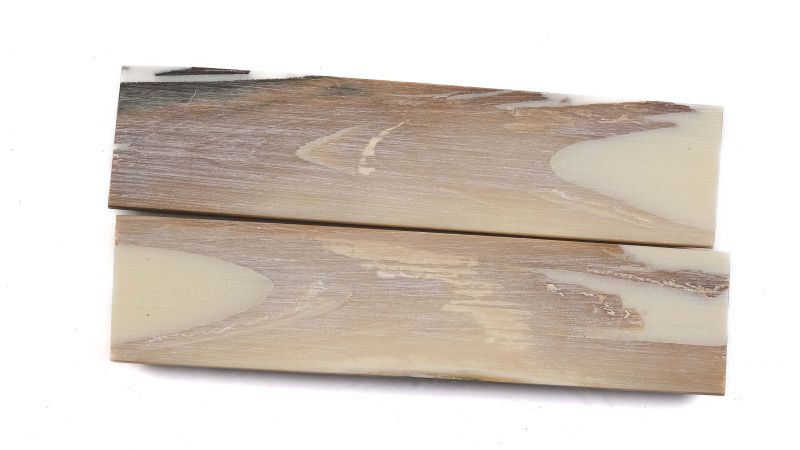 Blue stabilized mammoth ivory handle | Fossil rare | Mercorne