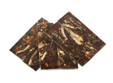 Fusion Mammoth Sleeves - Raffir 2