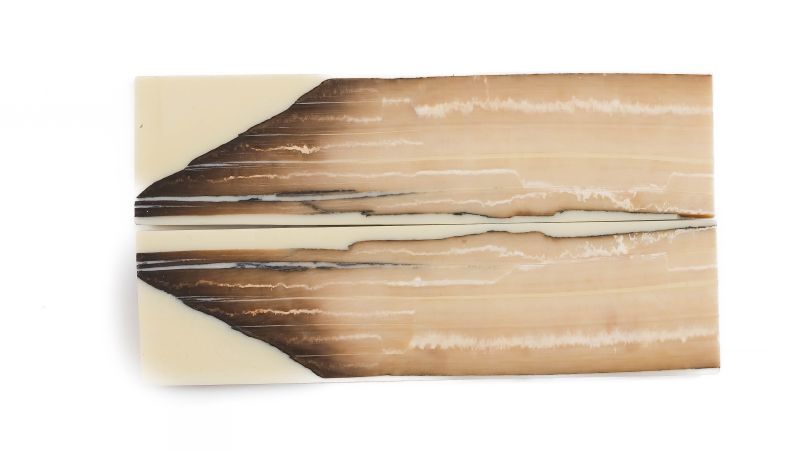 Manche pulpe d'ivoire de mammouth stabilisé résine beige | Coutellerie fossile | Mercorne