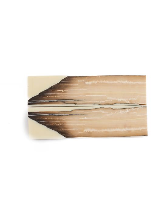 Manche pulpe d'ivoire de mammouth stabilisé résine beige | Coutellerie fossile | Mercorne