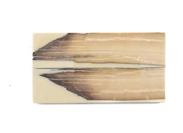 Manche pulpe d'ivoire de mammouth stabilisé résine beige | Coutellerie fossile | Mercorne 2